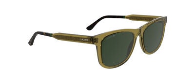 L6060S